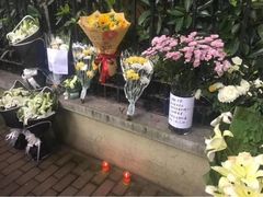 -上海市世外小学