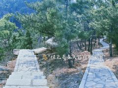 -金龙寺国家森林公园