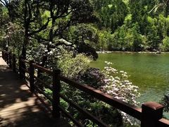 -普达措国家公园
