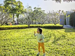 -二沙岛艺术公园