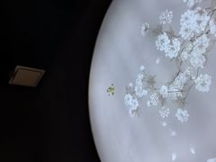 -华夏良子·足道SPA养生(上海崮山路明悦店)