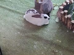 -枫叶小镇奥特莱斯