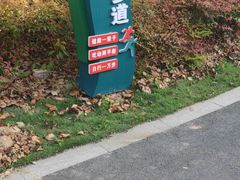 -汤山公园