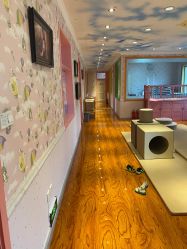 -北京俪婴妇产医院(朝阳大悦城店)