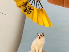 -海马体照相馆(重庆爱琴海购物公园店)