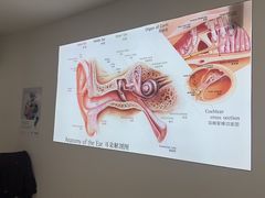 -自然之声助听器·呼吸机(康桥旗舰店)