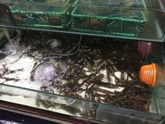 -乐兴海鲜餐厅