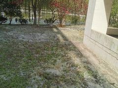 -南京医科大学(江宁校区)