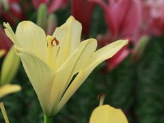 -长春公园(普阳街道)