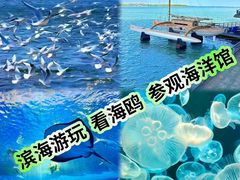 -聚味斋香辣蟹·蓝龙(塘沽总店)