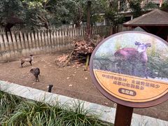 -成都动物园