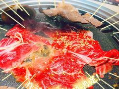 -猫爪爪原切自助烤肉(观音桥阳光世纪店)