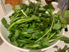 潮汕西洋菜-汕头八合里海记牛肉店(清河店)