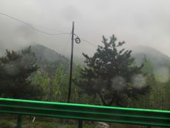 -铜川市金锁关石林