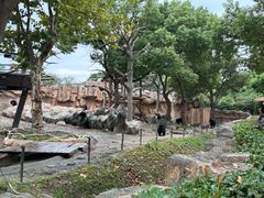 -上海野生动物园
