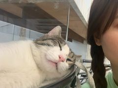 -UNI UNI(环亚凯瑟琳店)