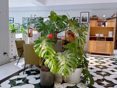 -一尺花园(安和花园店)