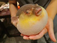 -永安鱼庄·镇江菜(东吴路店)