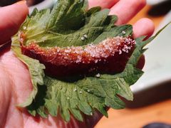 宅门一口酥（点卯精品烤鸭）-顺承小院儿
