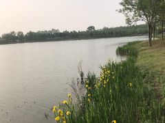 -东郊湿地公园