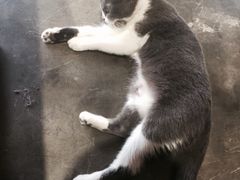 -MIKAKU(万达广场上海宝山店)