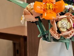 -Again Coffee Roaster(香蜜湖店)