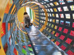 -宝燕乐园(闵行旗舰店)