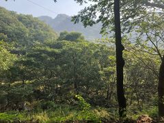 -大岭沟猕猴桃谷风景区