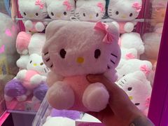 -BIG PINK大粉娃娃机主题馆(圆融星座店)
