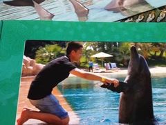 -亚特兰蒂斯水世界冒险乐园