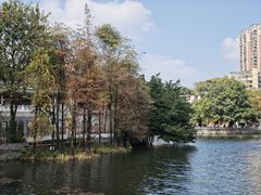 -荔湾湖公园