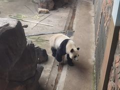 -南昌动物园