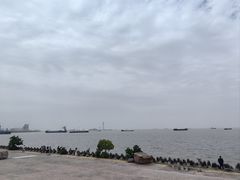 -上海滨江森林公园