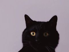 -满记甜品(南京虹悦城三店)