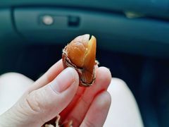 -满谷宝栗(奥林匹克店)