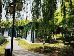-西海子公园