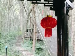 -富春桃源风景区