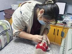 -渲嗳动物医院(异宠·复杂内科转诊中心·玖洲道富华里分院)