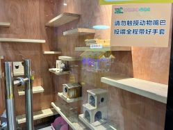 -神奇动物撸宠馆·羊驼·小浣熊·异宠(豫园店)