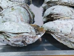 -蚝专家(北滘店)