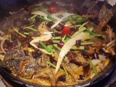 -老板恋上鱼(恒隆广场店)