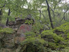 -虞山风景区