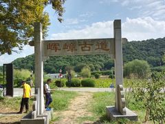 -龙寺生态园