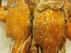 -彩虹云霄拜约克摩天塔