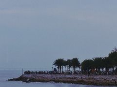 -野狸岛