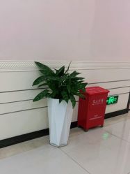 -深圳阳光医疗美容医院·旗舰店