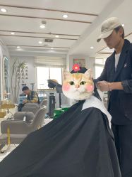 -镁连社·美联社