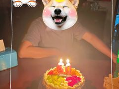 -皇冠幸福里动物奶油生日蛋糕(万达店)