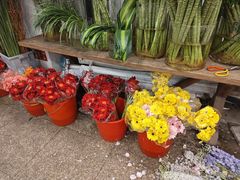 -双季花艺园艺市场(浦东店)