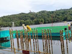 -西樵山风景名胜区-天湖公园